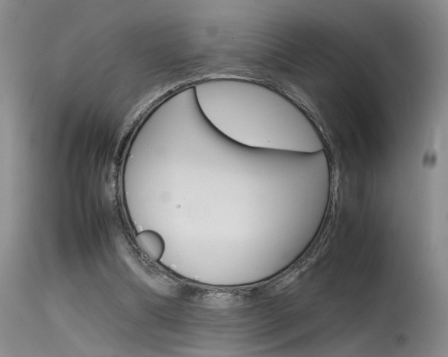 X0000115540298200911061156