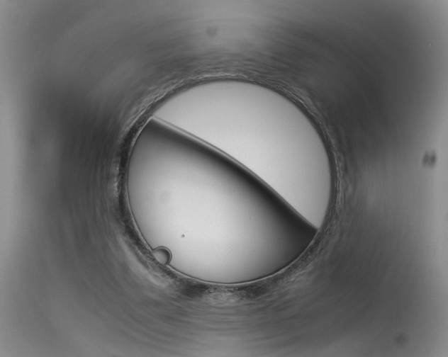 X0000115540299200911061156