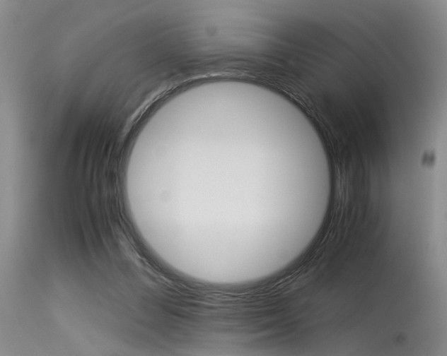 X0000115540300200911061156