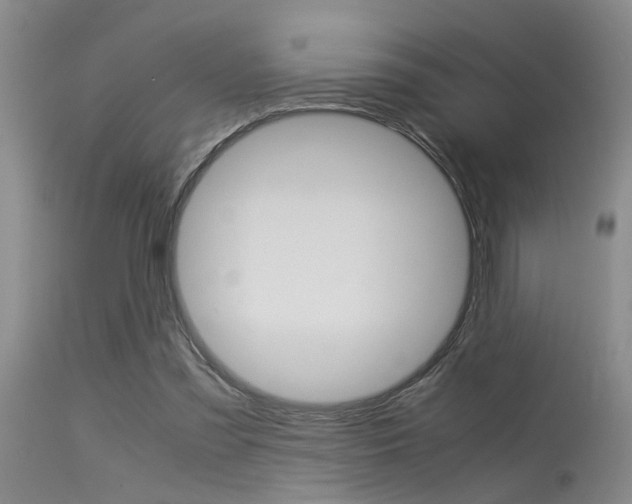 X0000115540301200911061156