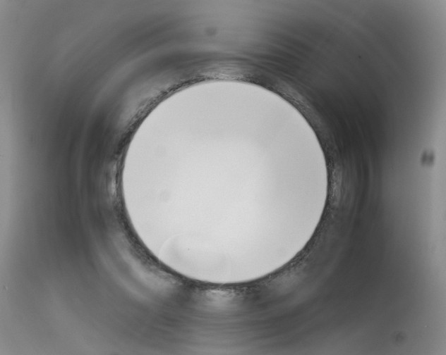 X0000115540302200911061156