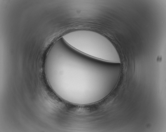 X0000115540303200911061156