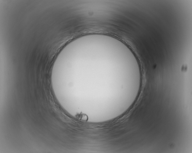 X0000115540305200911061156