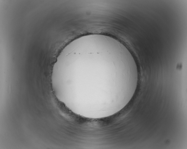 X0000115540307200911061156