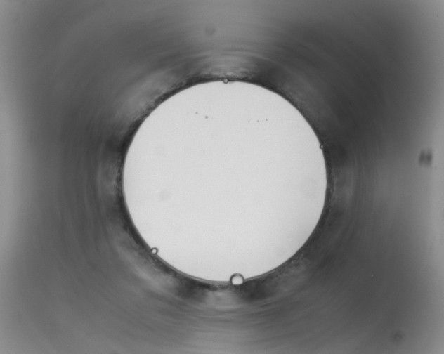 X0000115540309200911061156