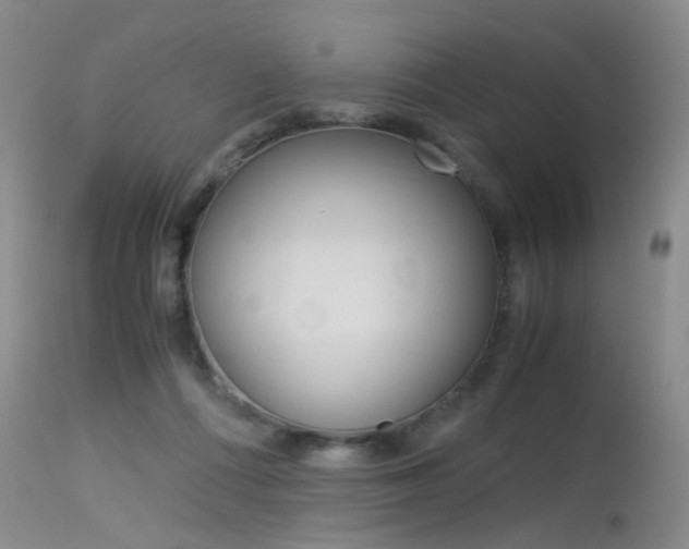 X0000115540312200911061156