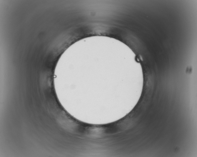 X0000115540313200911061156