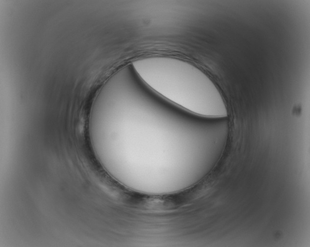 X0000115540315200911061156