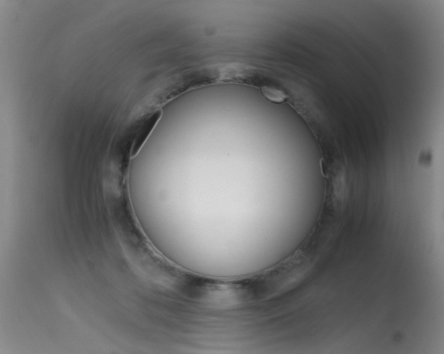 X0000115540316200911061156