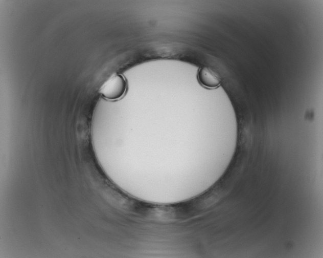 X0000115540317200911061156