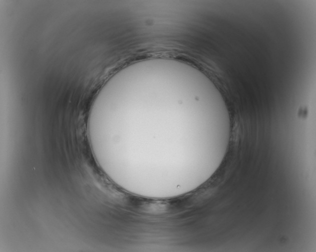 X0000115540318200911061156