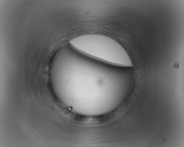 X0000115540319200911061156