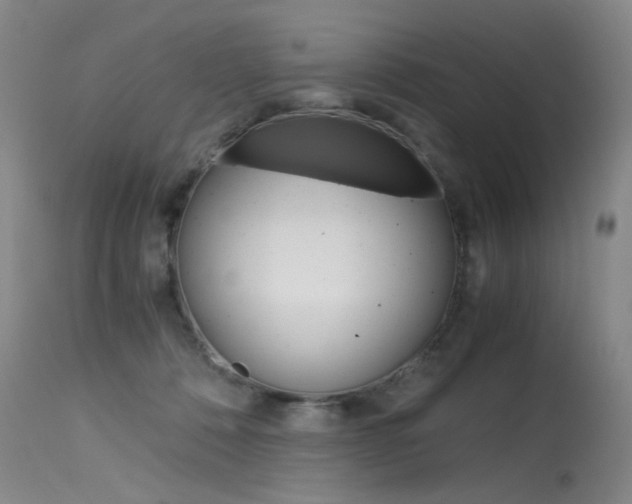 X0000115540320200911061156