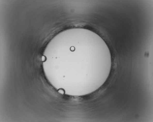 X0000115540321200911061156