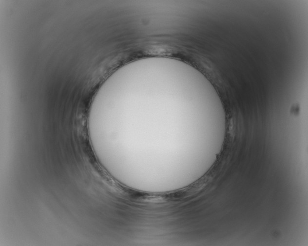 X0000115540322200911061156