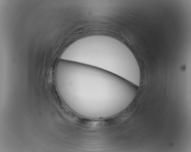 X0000115540323200911061156