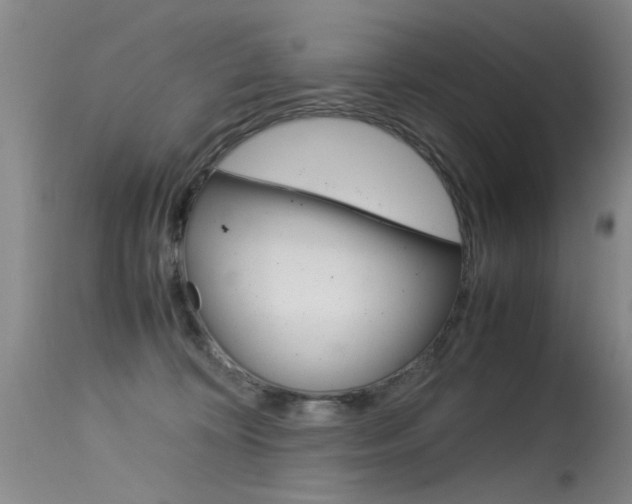 X0000115540324200911061156