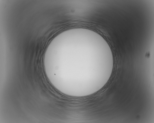 X0000115540325200911061156