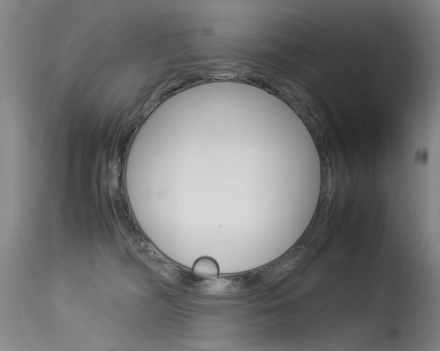 X0000115540326200911061156