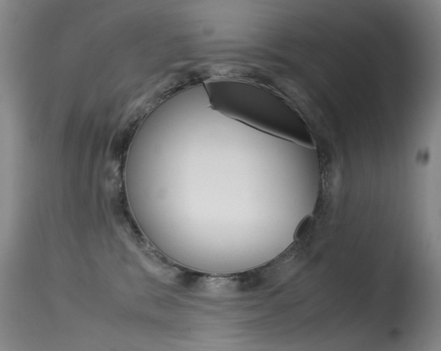 X0000115540327200911061156