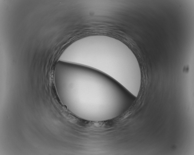 X0000115540329200911061156