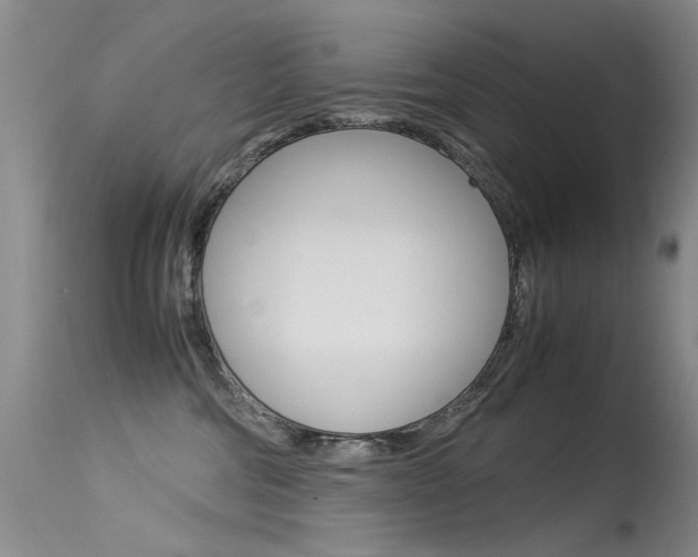 X0000115540330200911061156