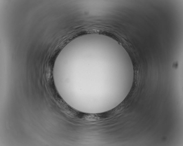 X0000115540331200911061156