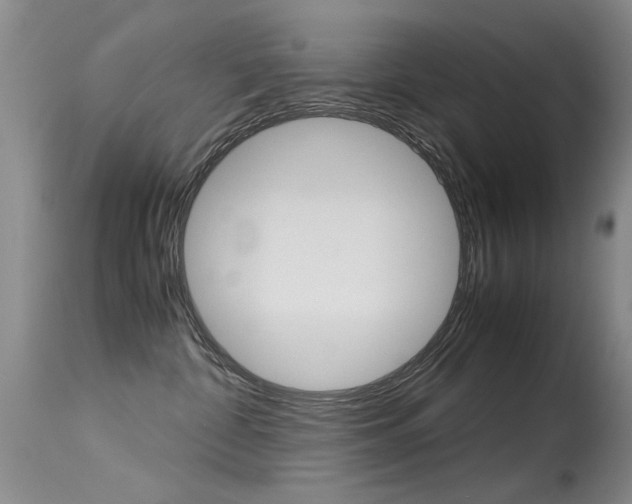 X0000115540332200911061156