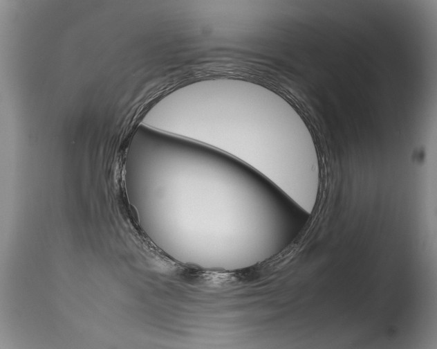 X0000115540333200911061156