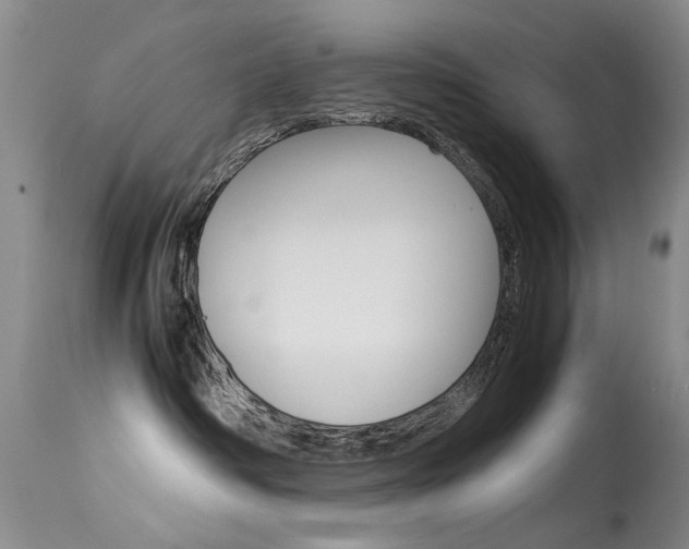 X0000115540334200911061156