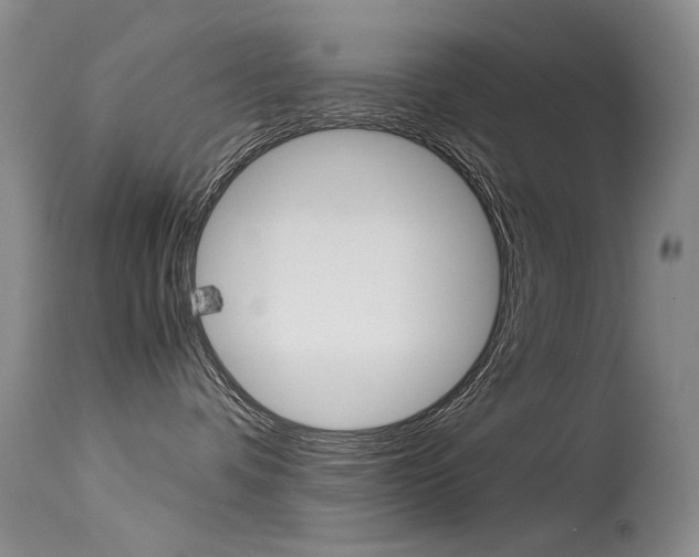 X0000115540336200911061156