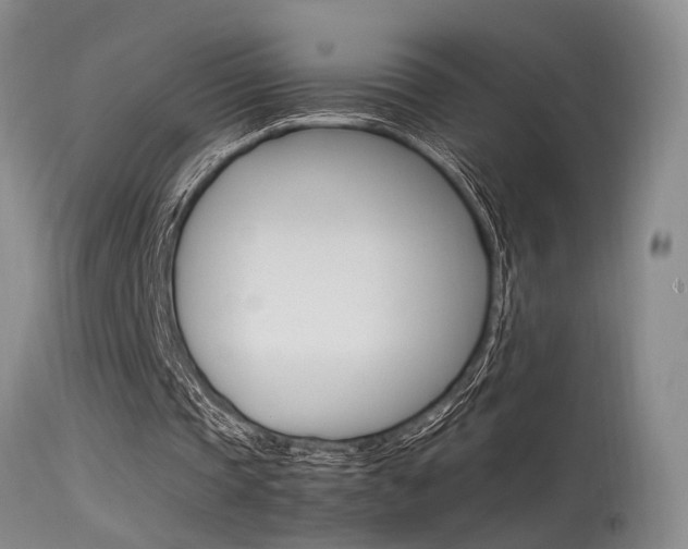 X0000115540337200911061155