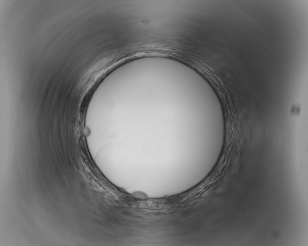 X0000115540338200911061155