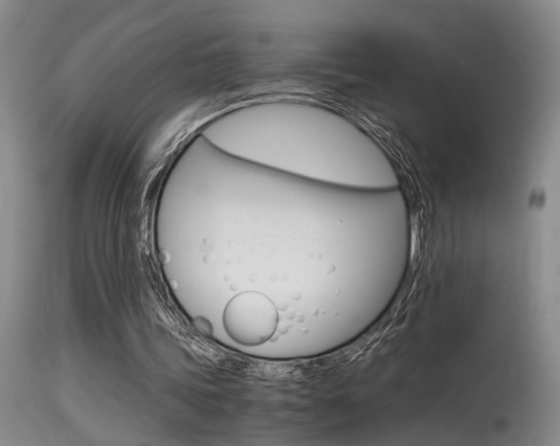 X0000115540339200911061155