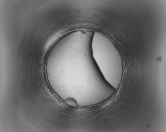 X0000115540341200911061155