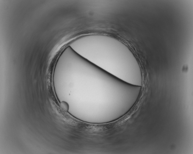 X0000115540343200911061155