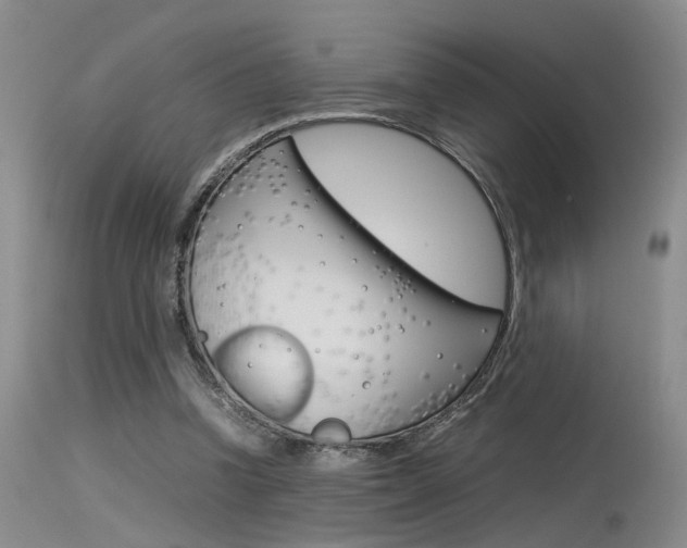 X0000115540346200911061155