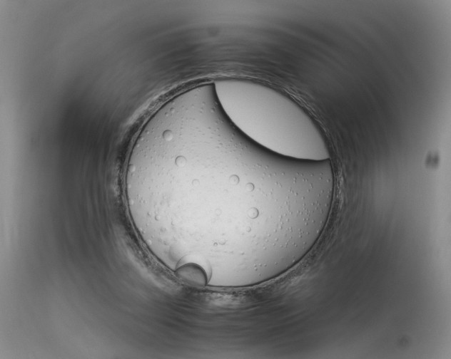 X0000115540347200911061155