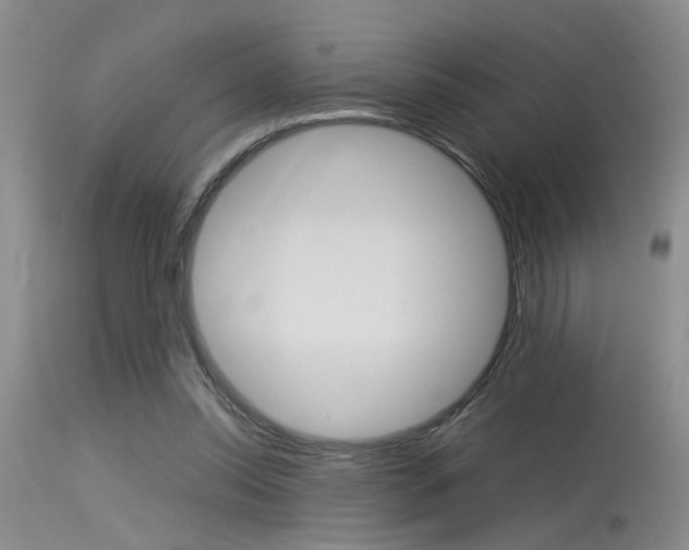 X0000115540350200911061155