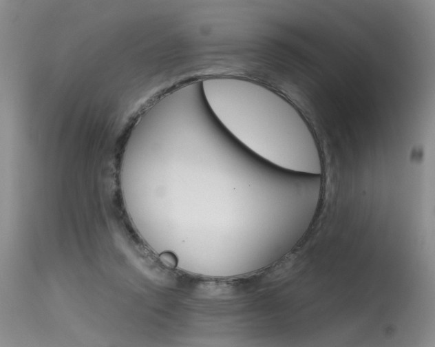 X0000115540354200911061155