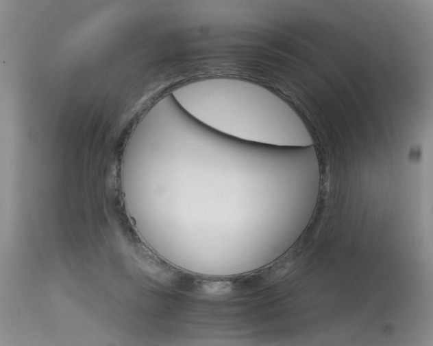 X0000115540355200911061155