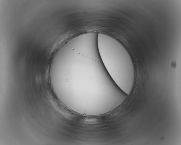 X0000115540357200911061155