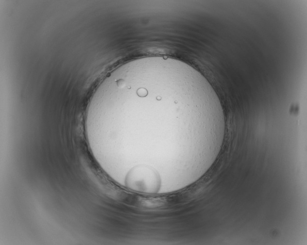 X0000115540359200911061155