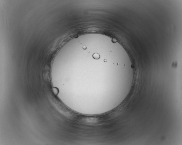 X0000115540361200911061155