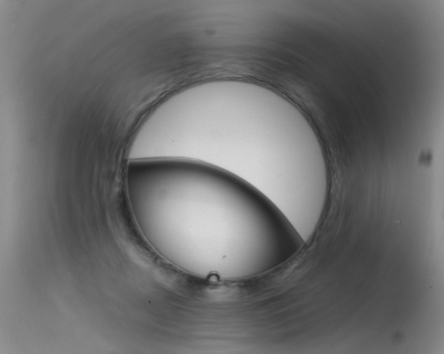 X0000115540362200911061155