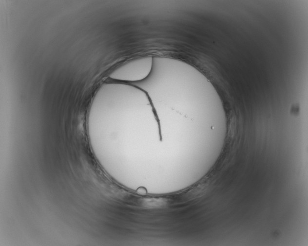 X0000115540363200911061155