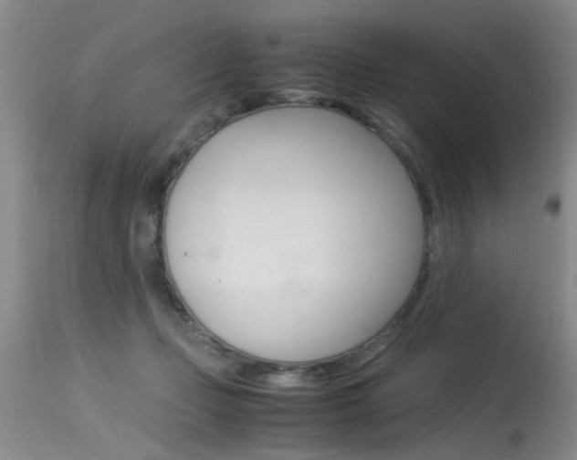 X0000115540365200911061155