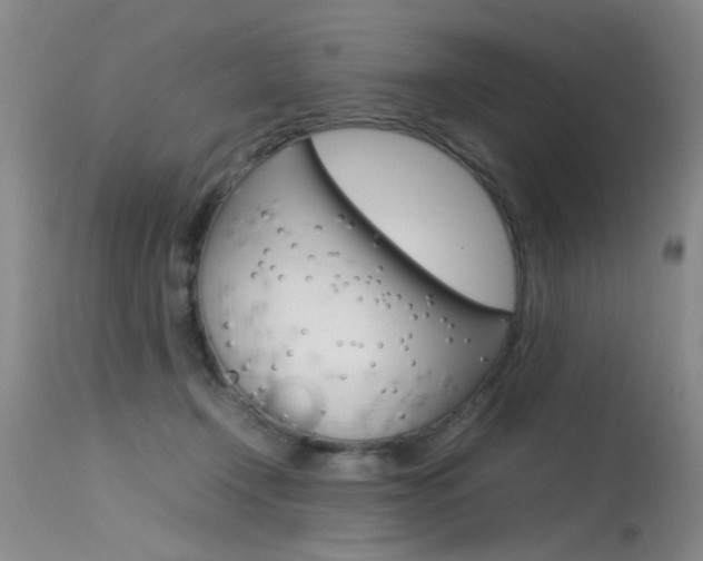 X0000115540366200911061155