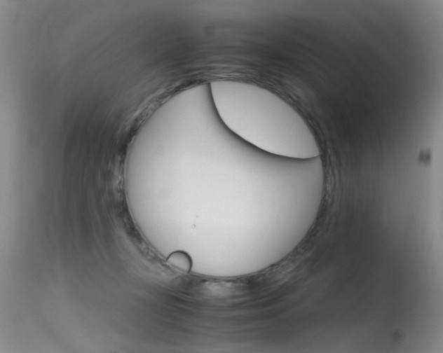 X0000115540367200911061155