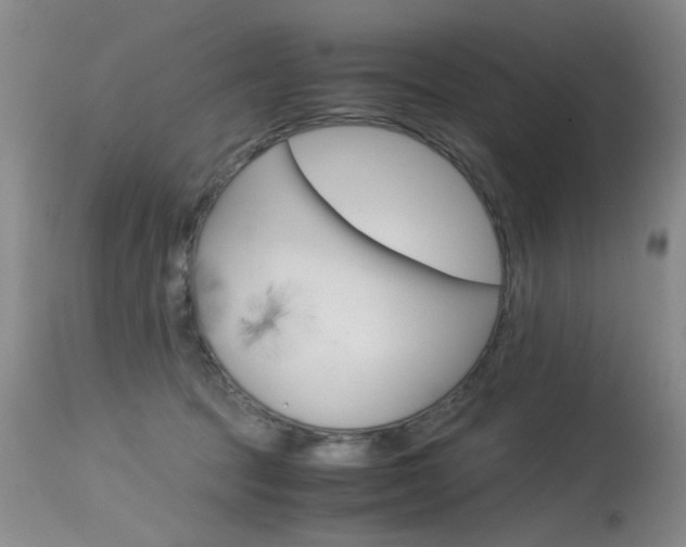 X0000115540369200911061155